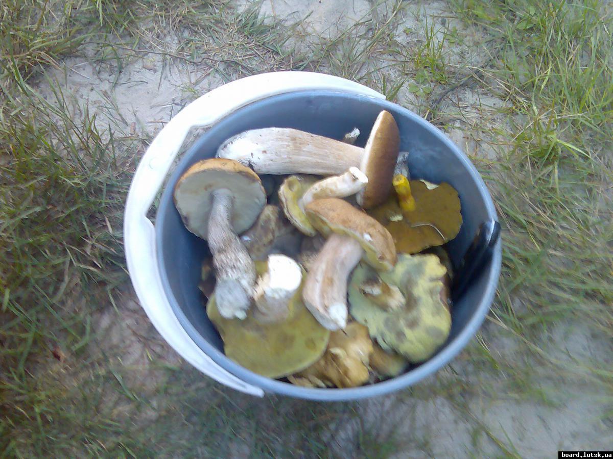 post-13697-0-50536800-1347280781_thumb.j