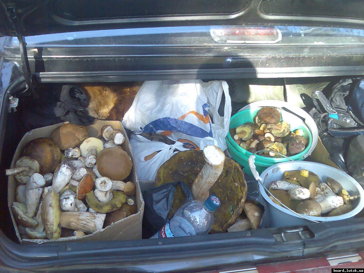 post-13697-0-86900000-1347280804_thumb.j