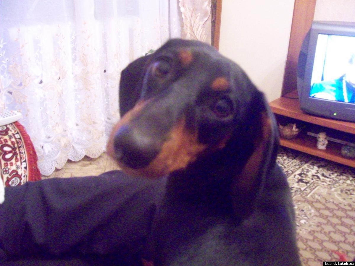 post-13851-0-02684700-1348257527_thumb.j