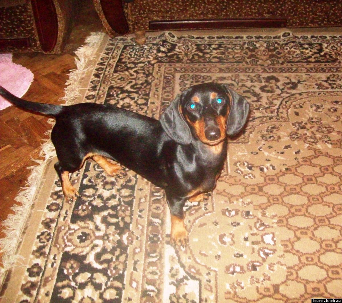 post-13851-0-79987400-1348082610_thumb.j