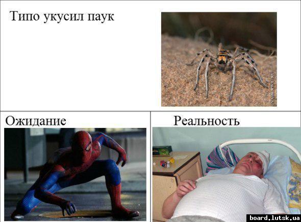 post-15446-0-05093700-1347821231_thumb.j