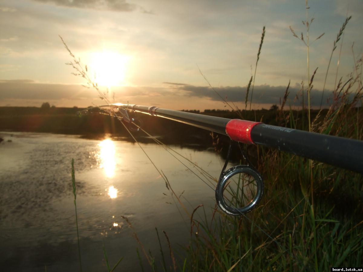 post-15497-0-10157600-1347459606_thumb.j