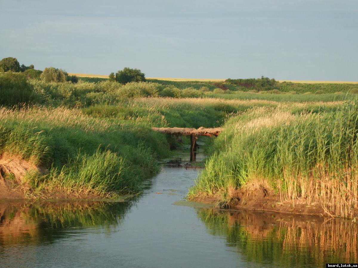 post-15497-0-19842000-1347459610_thumb.j