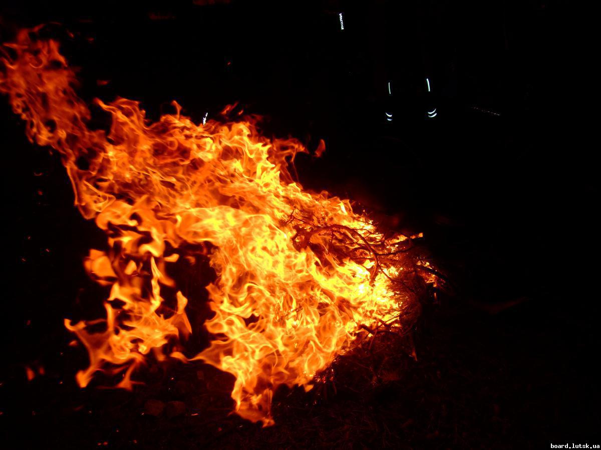 post-15497-0-30578600-1348352581_thumb.j