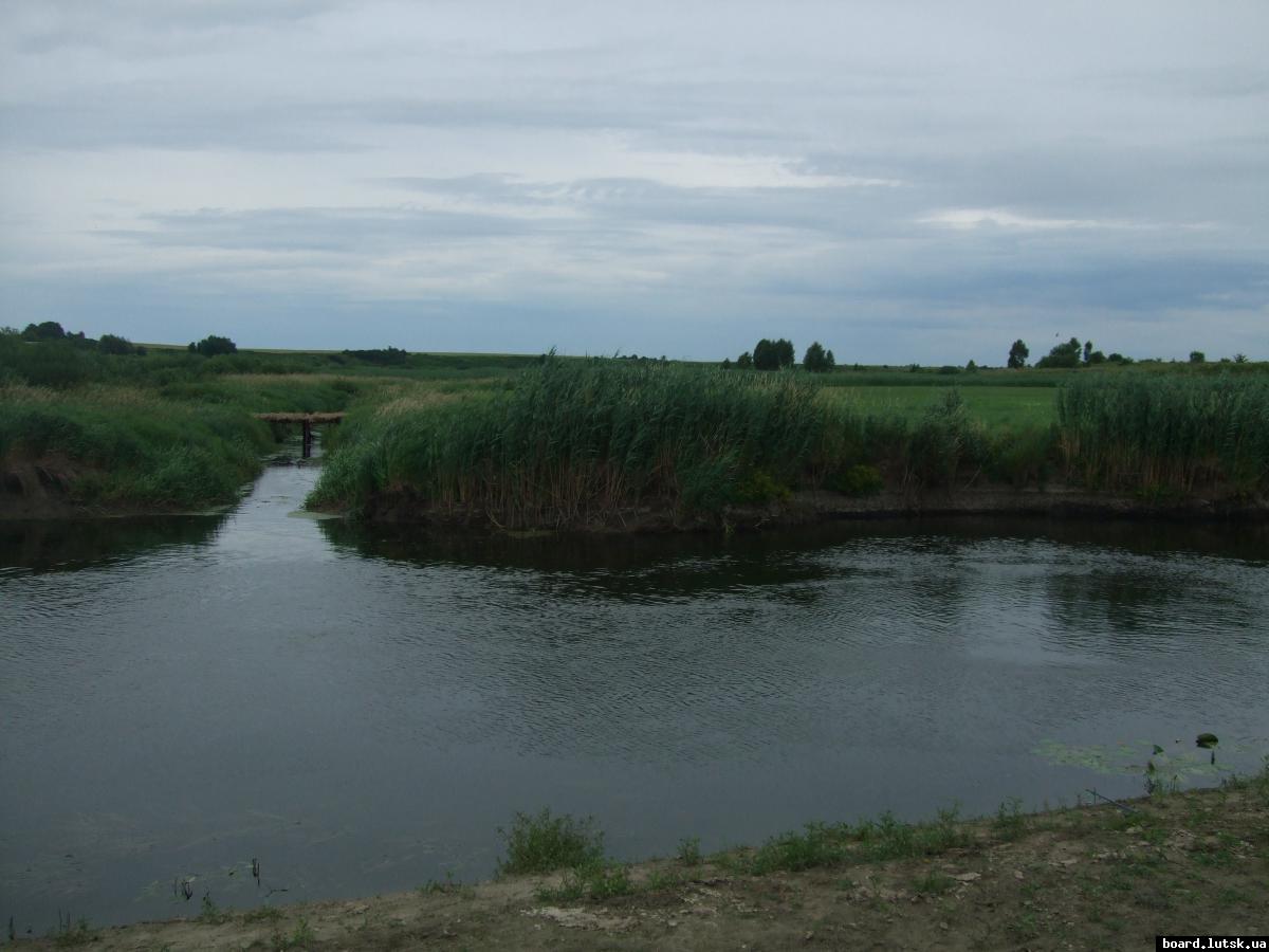 post-15497-0-71834100-1347459598_thumb.j