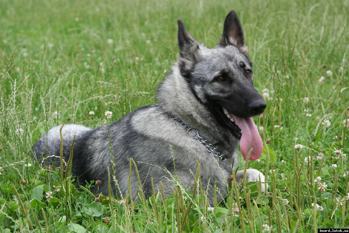 post-16594-0-03572400-1346610495_thumb.j