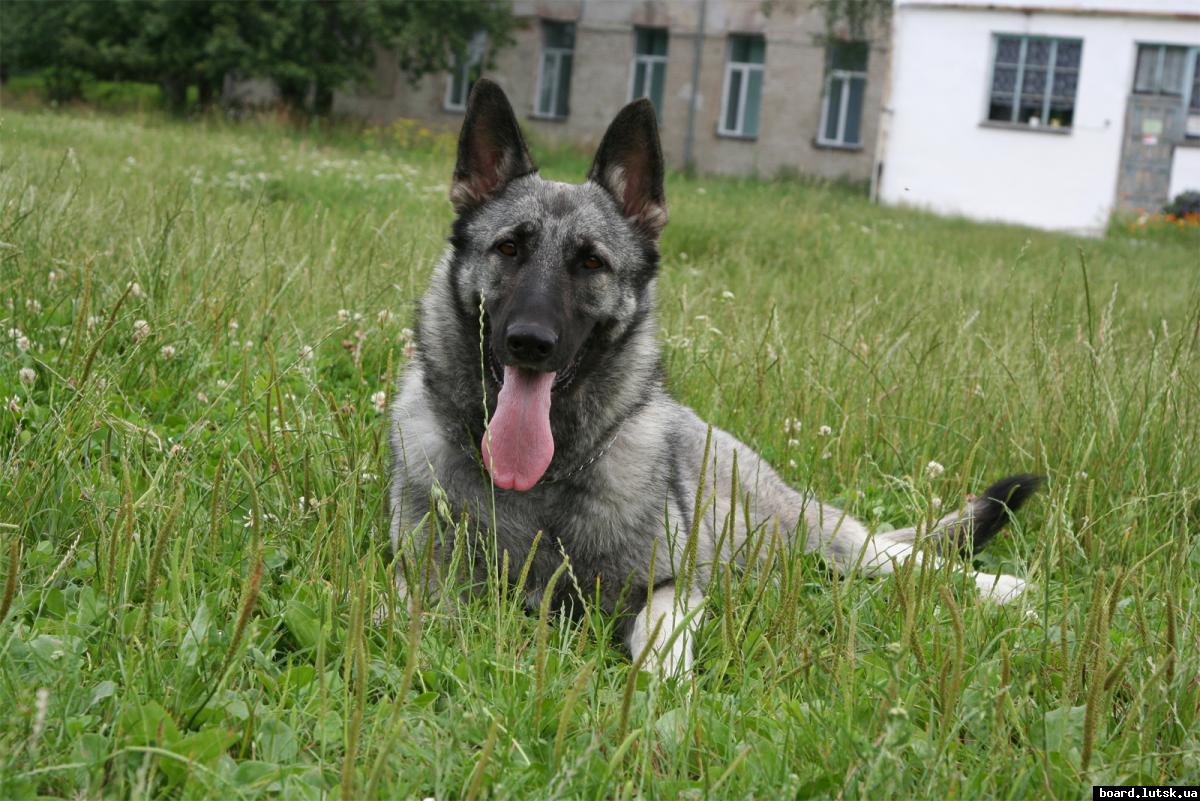 post-16594-0-94262200-1346610514_thumb.j