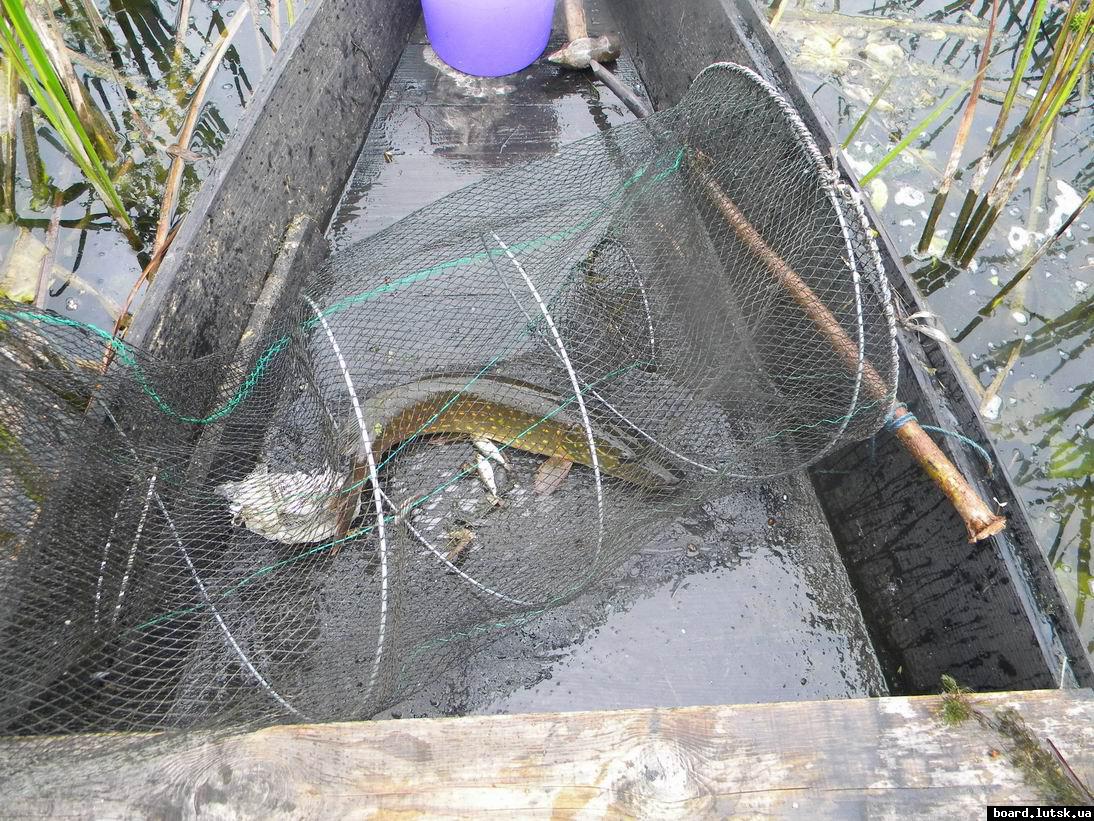 post-17283-0-05930700-1348056107_thumb.j