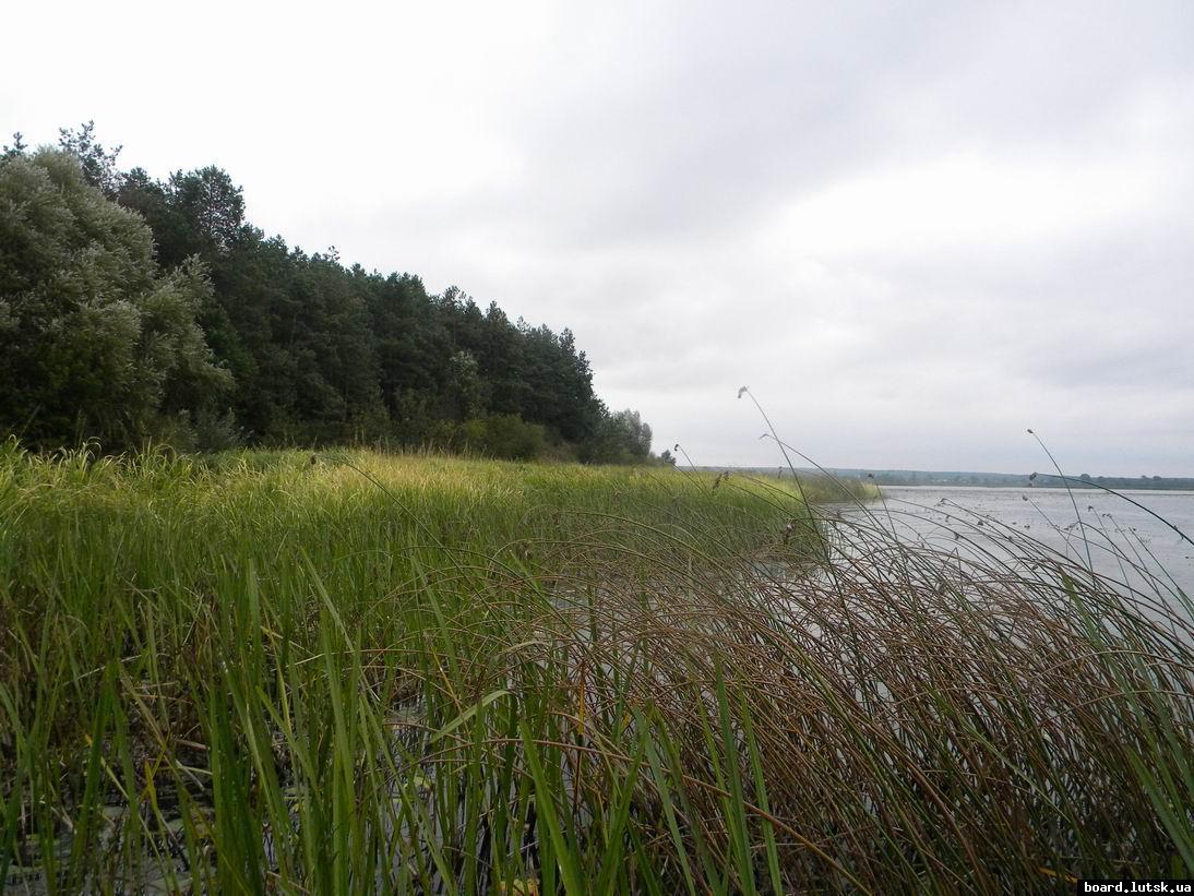 post-17283-0-26835400-1348056122_thumb.j