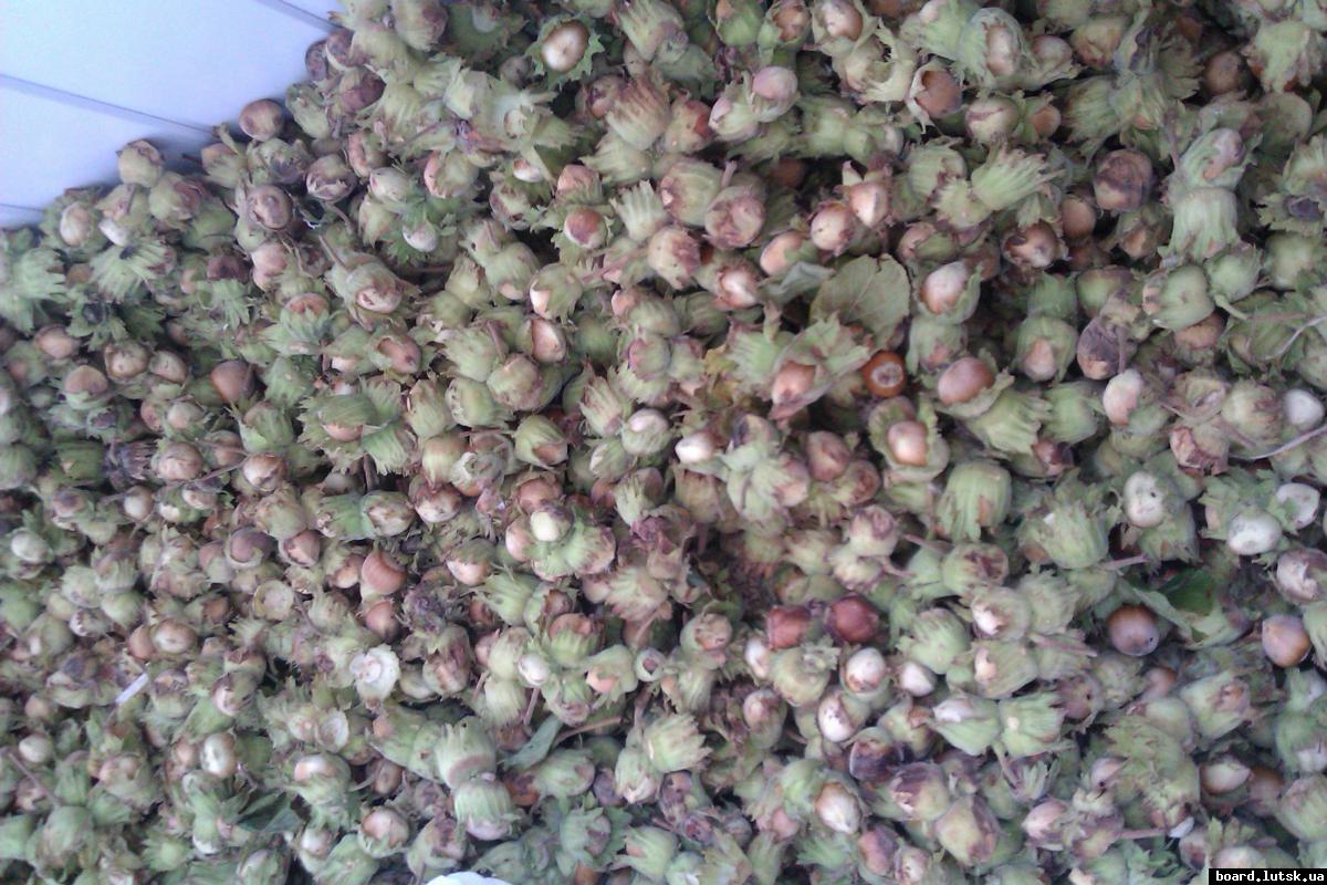 post-18088-0-53620800-1346497750_thumb.j