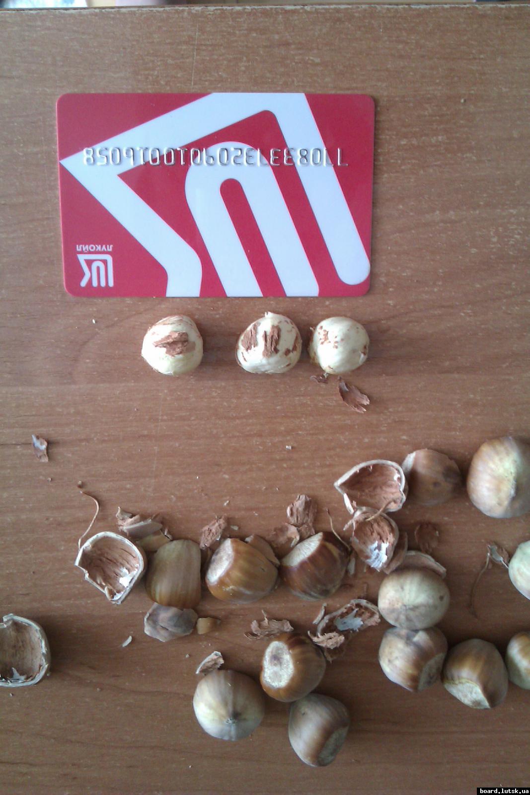 post-18088-0-63166500-1346497756_thumb.j