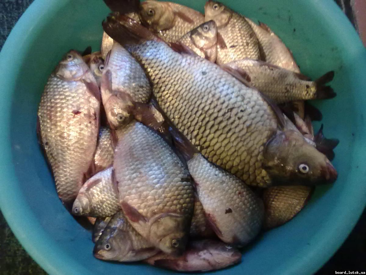 post-18712-0-02585500-1347392468_thumb.j