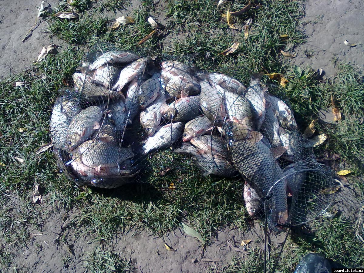 post-18712-0-13460700-1347392466_thumb.j