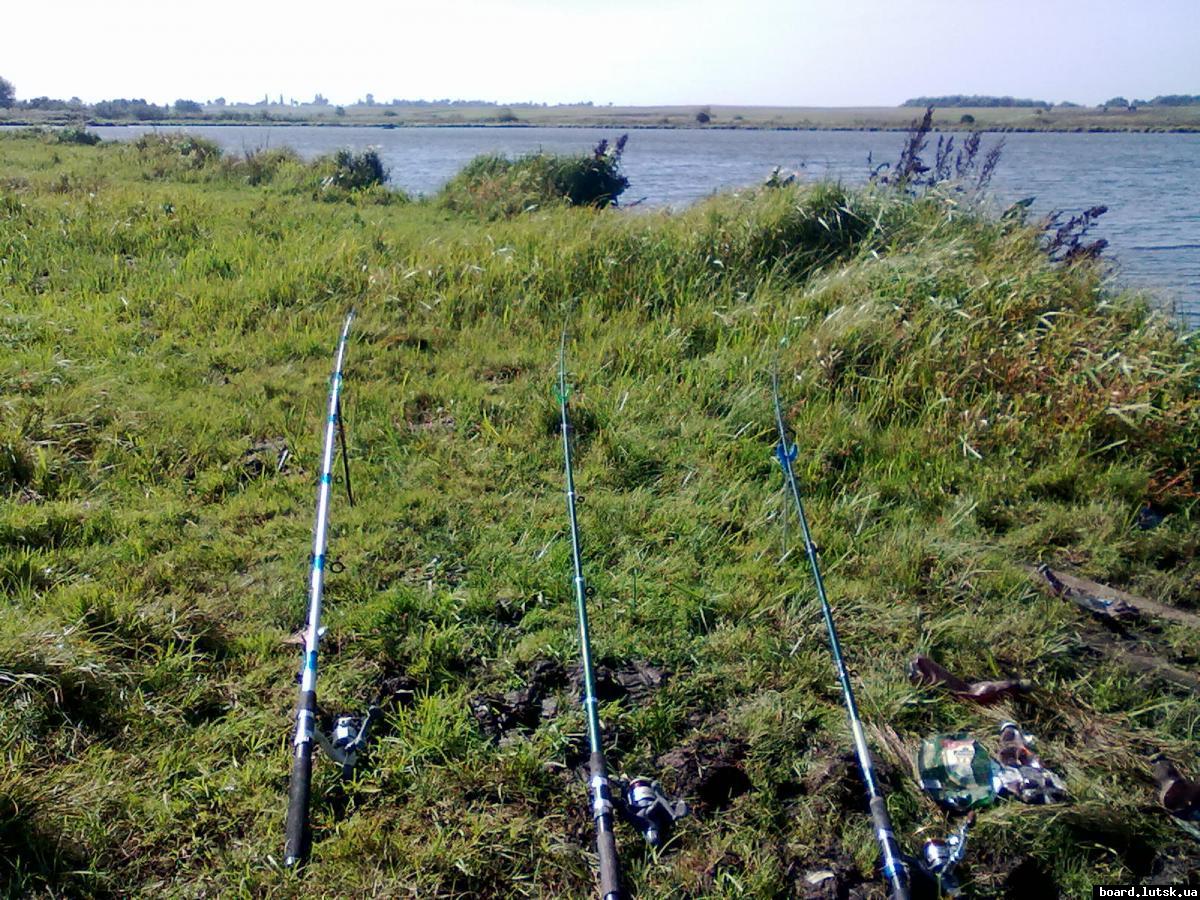 post-18712-0-20739700-1348758947_thumb.j