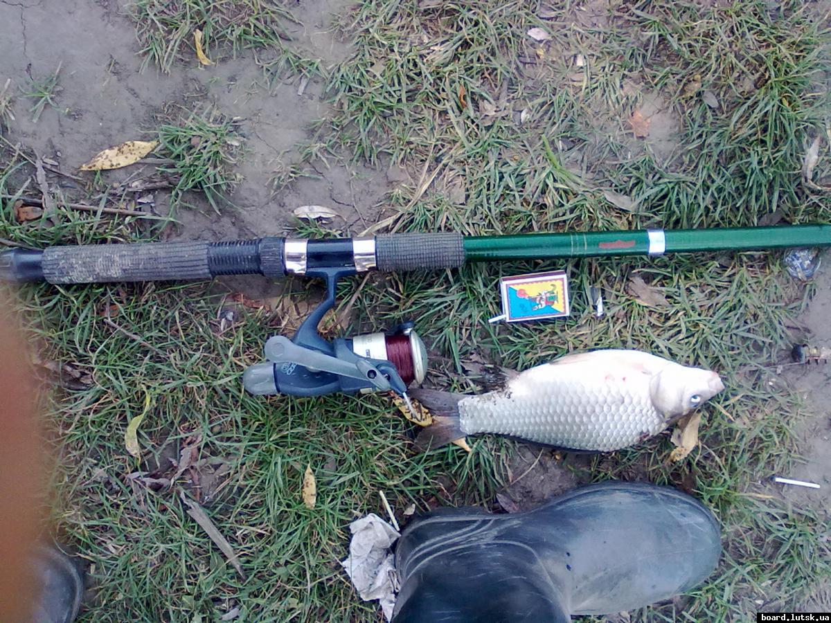 post-18712-0-68133400-1347392461_thumb.j