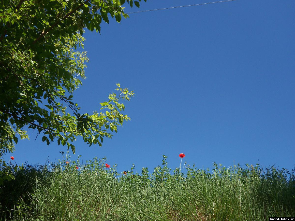 post-18978-0-62262300-1347362224_thumb.j