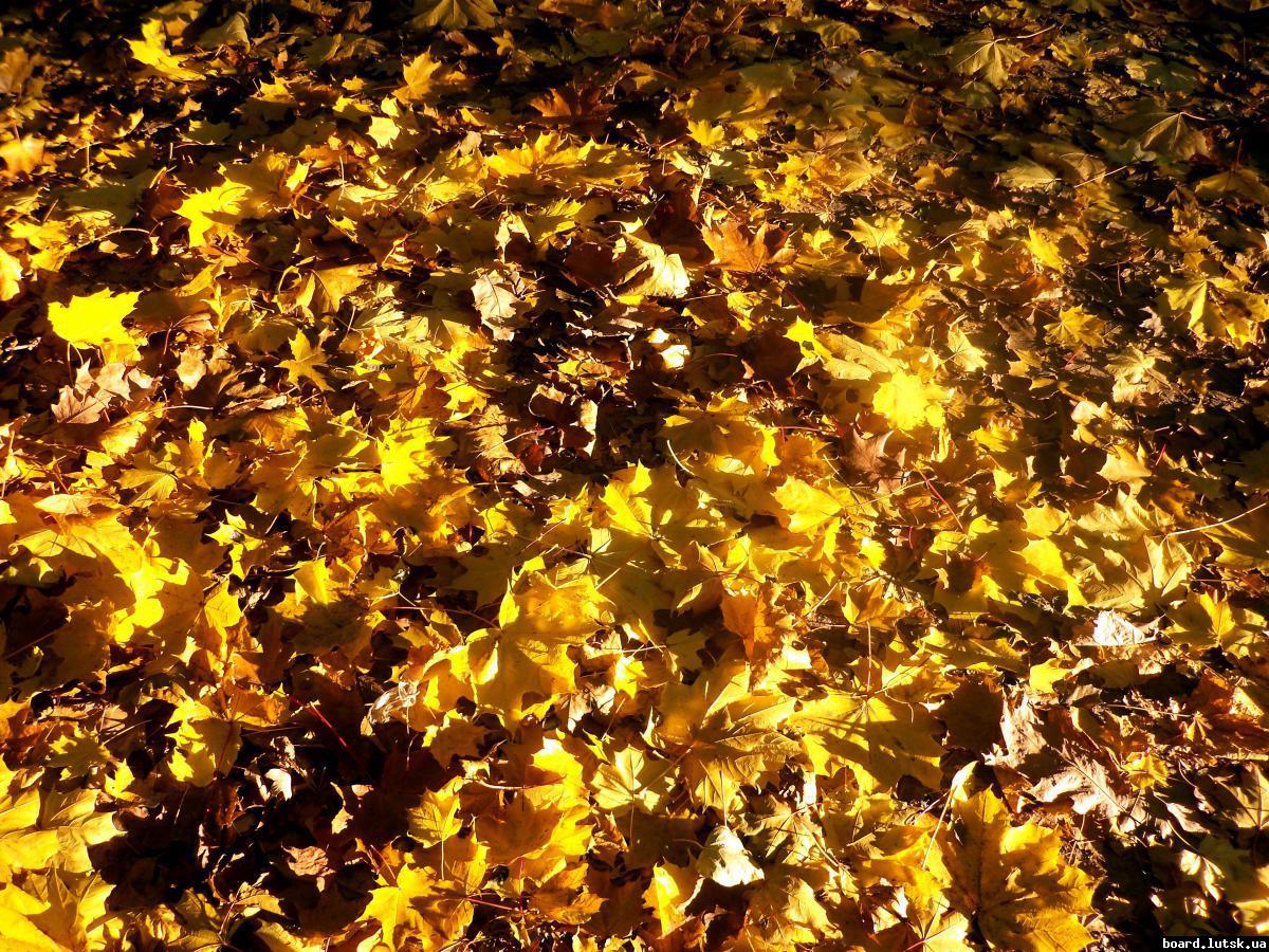 post-18978-0-98578100-1347361944_thumb.j