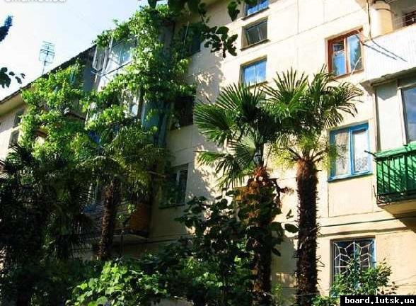 post-19013-0-23708900-1347518600_thumb.j