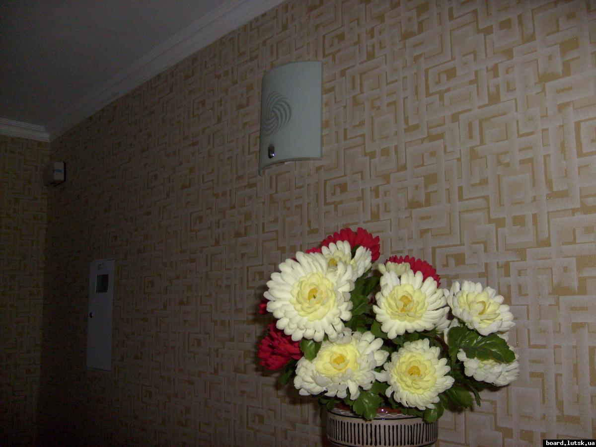 post-19013-0-70076600-1347708210_thumb.j