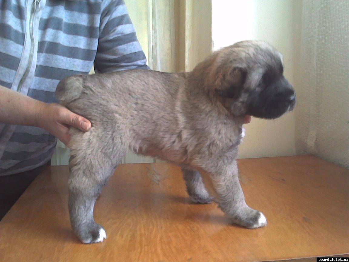 post-19045-0-57420200-1347812279_thumb.j