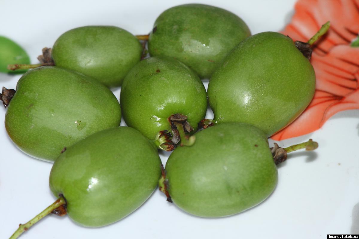 post-2135-0-75382700-1347716844_thumb.jp