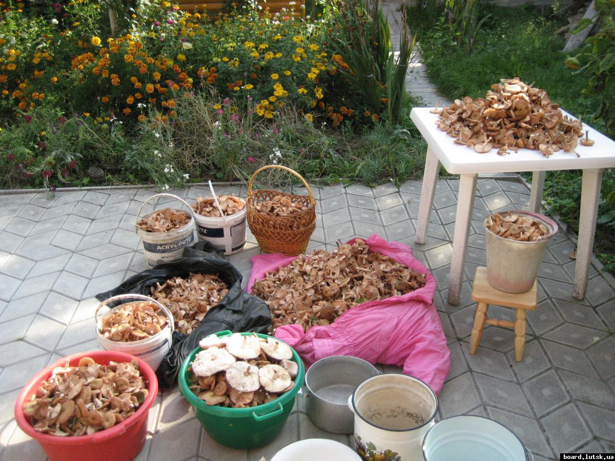 post-2292-0-90529800-1347991419_thumb.jp