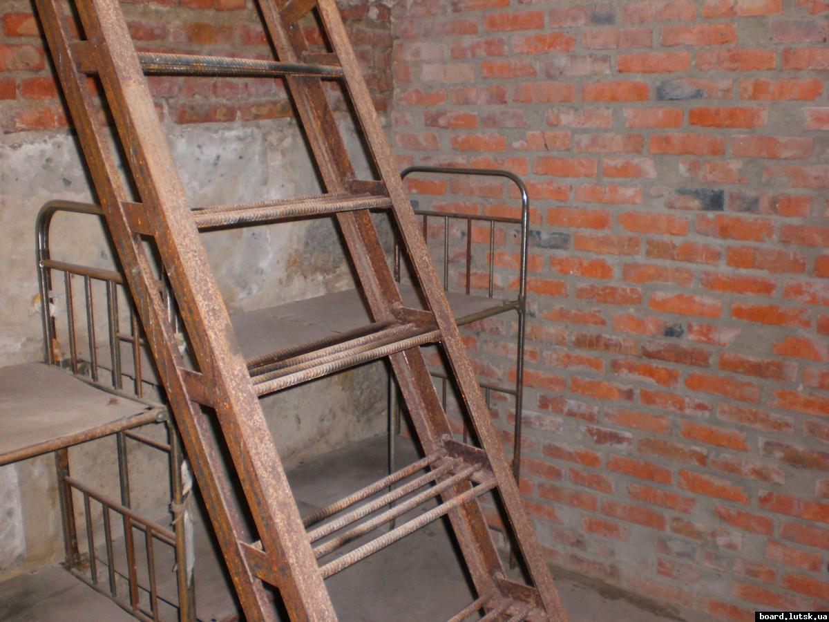 post-4343-0-52229800-1346595018_thumb.jp