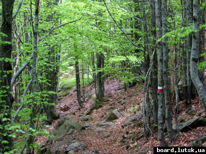 post-5103-0-26354500-1347743222_thumb.jp