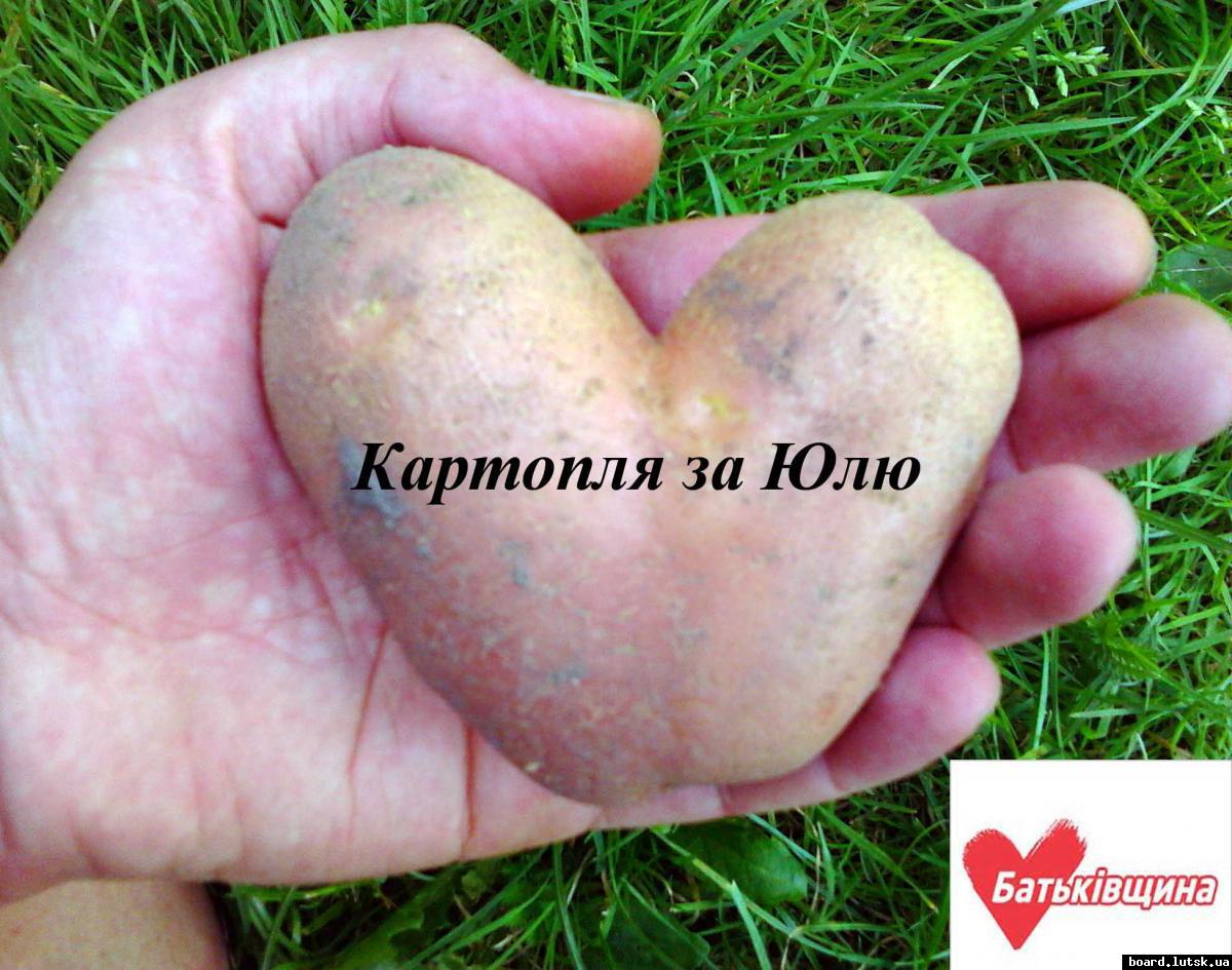 post-5155-0-30165700-1348694958_thumb.jp