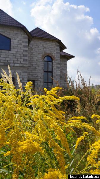 post-5335-0-95581100-1346842477_thumb.jp