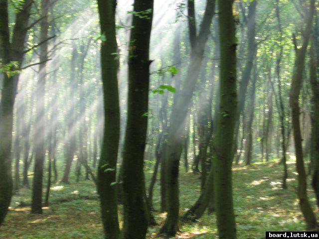 post-6657-0-32774000-1348987752_thumb.jp