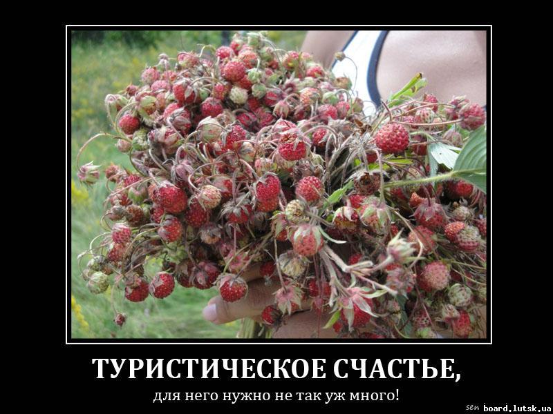 post-6657-0-38346200-1348910604_thumb.jp