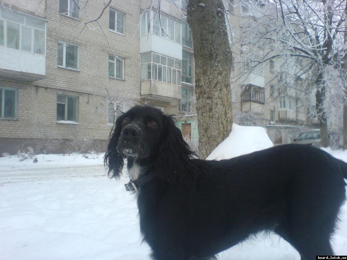 post-7890-0-21463700-1348512156_thumb.jp