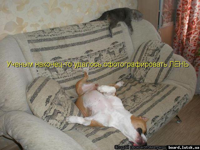 post-8708-0-03427700-1348761374_thumb.jp