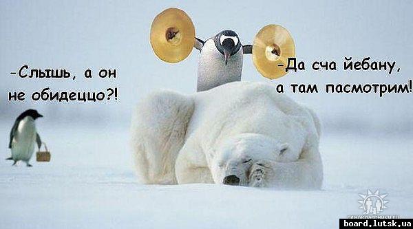 post-8708-0-14186700-1348761342_thumb.jp