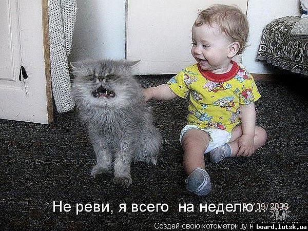 post-8708-0-26232400-1348761357_thumb.jp