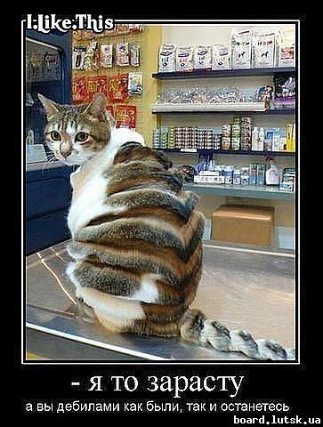 post-8708-0-51999500-1348761328_thumb.jp