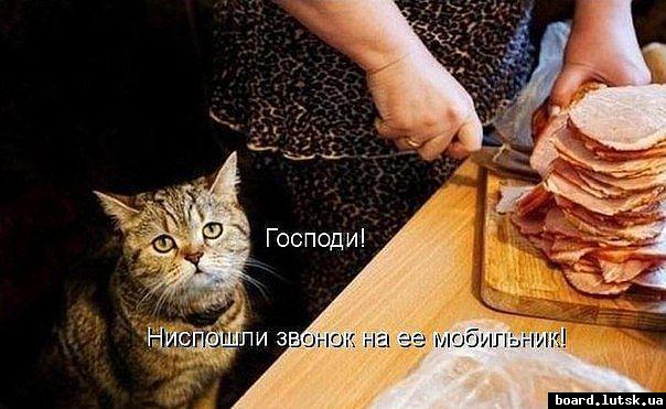 post-8708-0-53438600-1348761277_thumb.jp