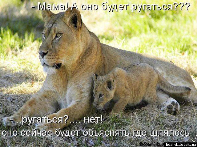 post-8708-0-76310900-1348761387_thumb.jp