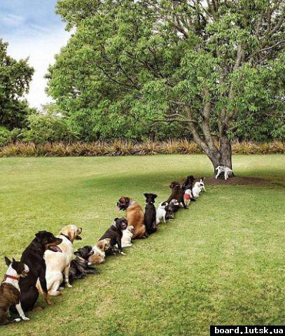 post-8708-0-84545400-1348761402_thumb.jp