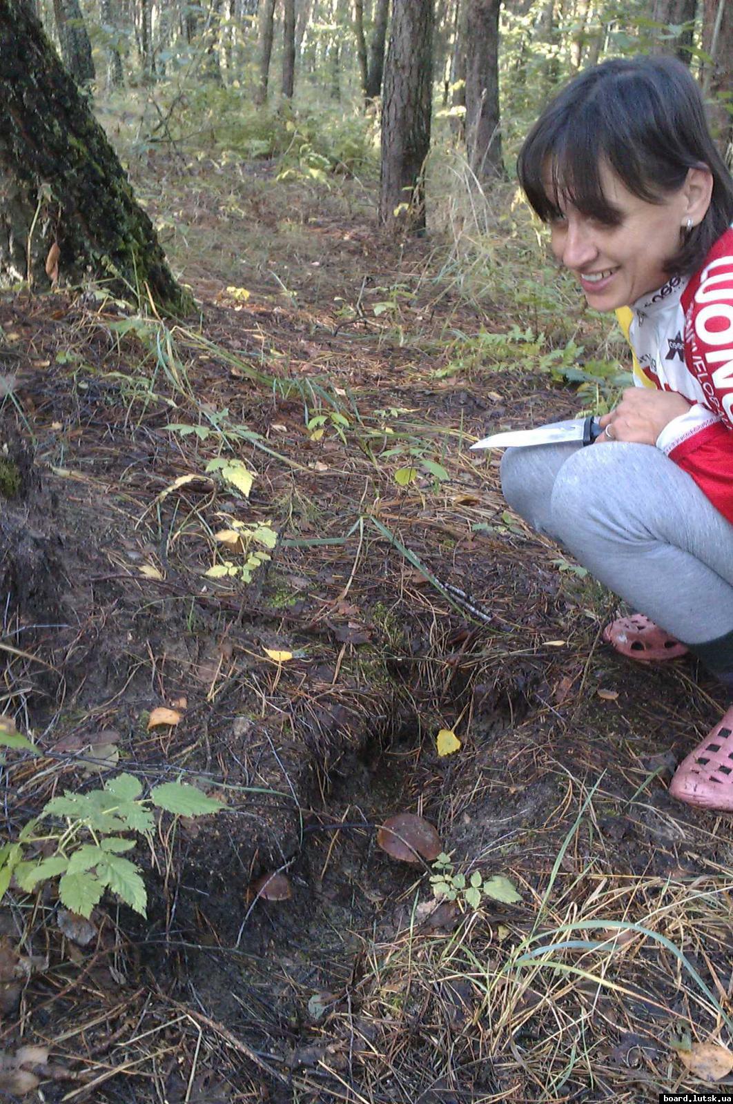 post-9178-0-53417800-1347826270_thumb.jp