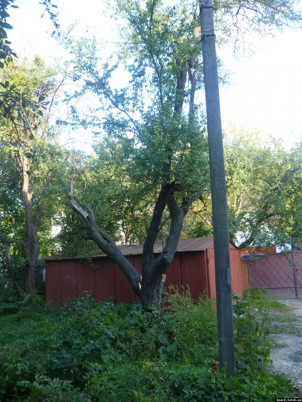 post-9395-0-41586100-1348413384_thumb.jp