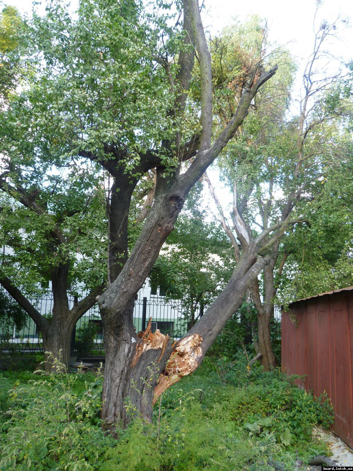 post-9395-0-74341300-1348413469_thumb.jp