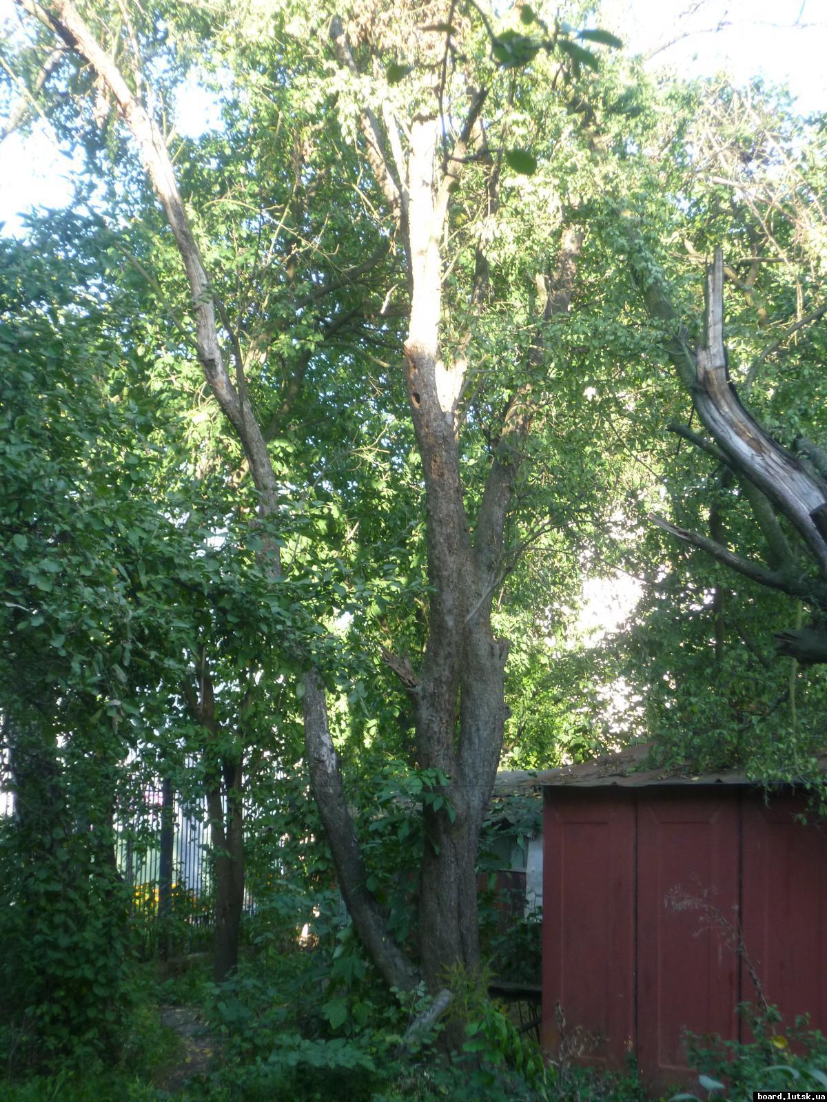 post-9395-0-77251700-1348413412_thumb.jp