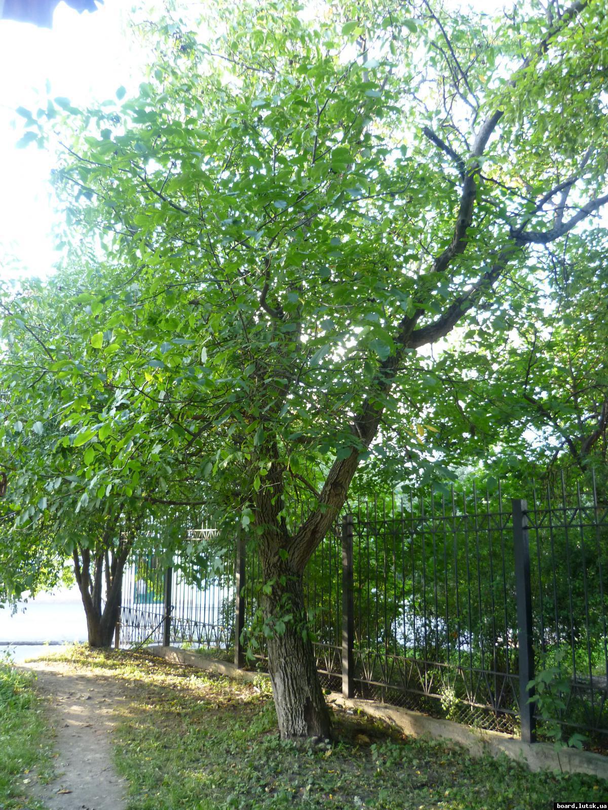 post-9395-0-91145300-1348413595_thumb.jp