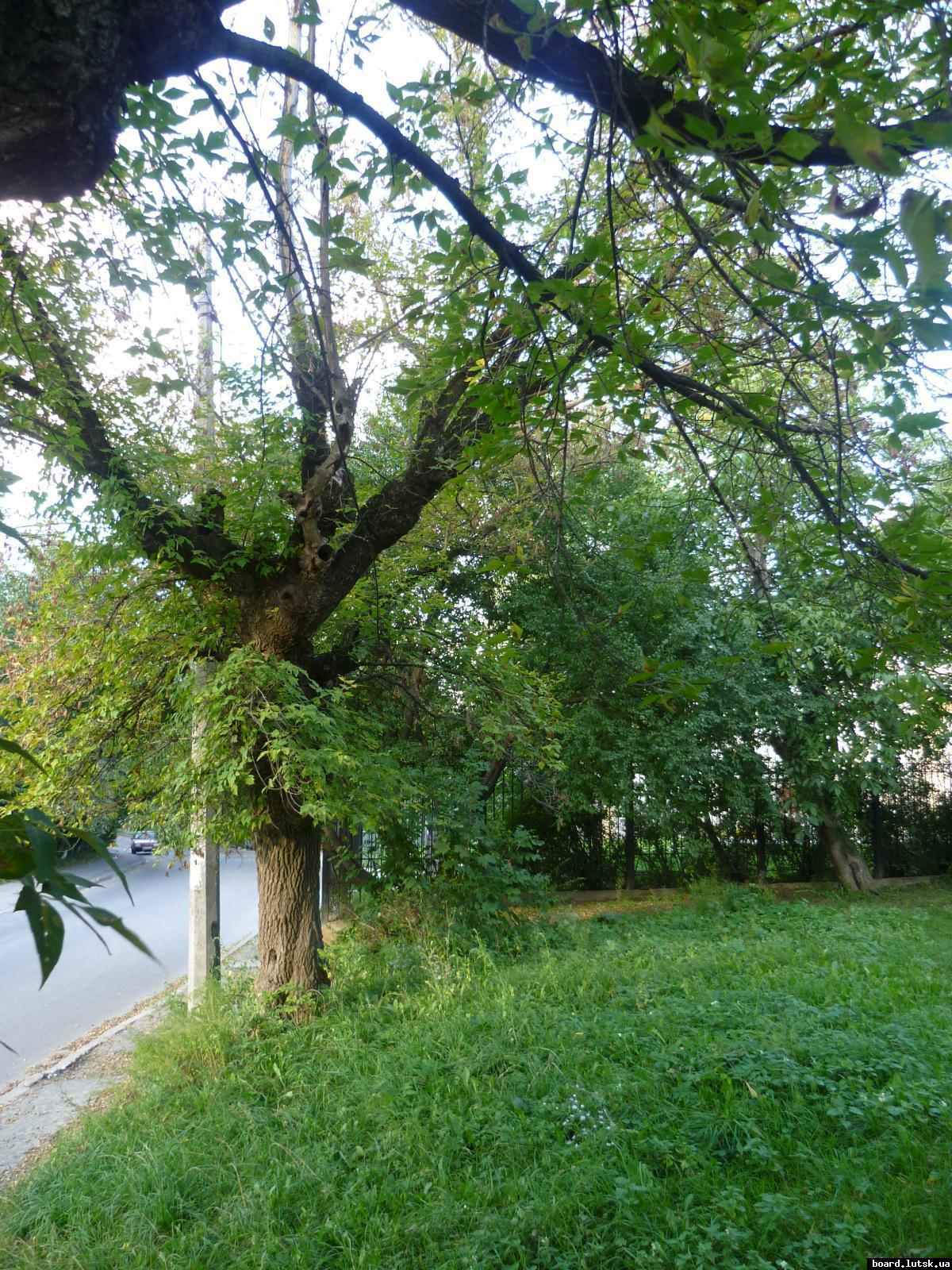 post-9395-0-96106900-1348413655_thumb.jp