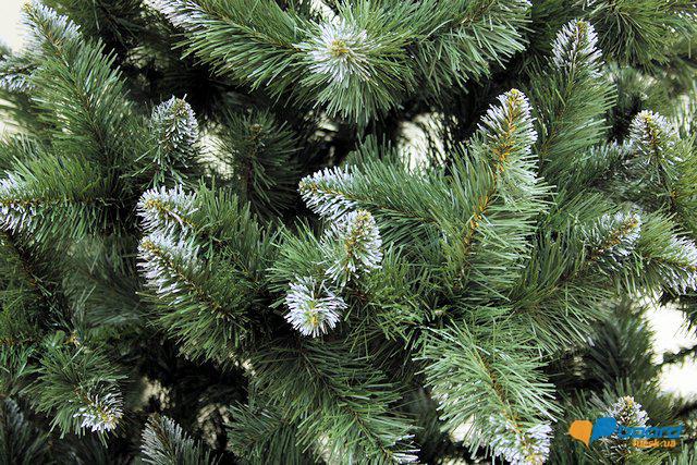 post-11131-0-04011900-1355331589_thumb.j