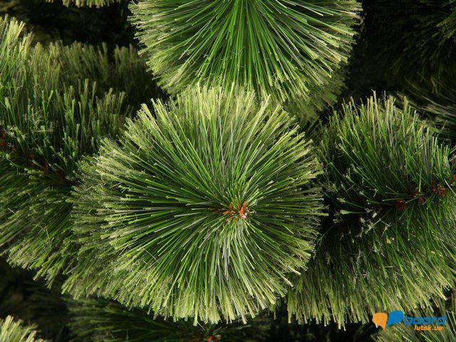 post-11131-0-12941600-1355331462_thumb.j