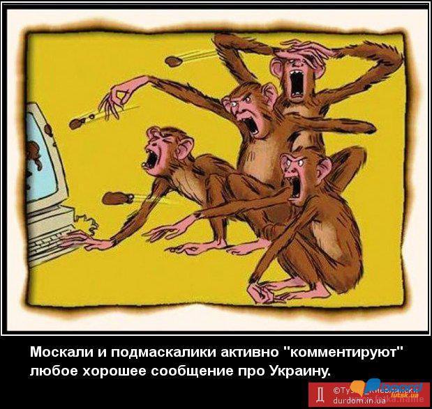 post-11323-0-13763700-1356029426_thumb.j