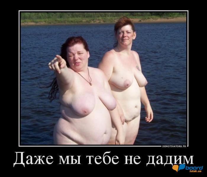 post-11341-0-23028300-1354443402_thumb.j